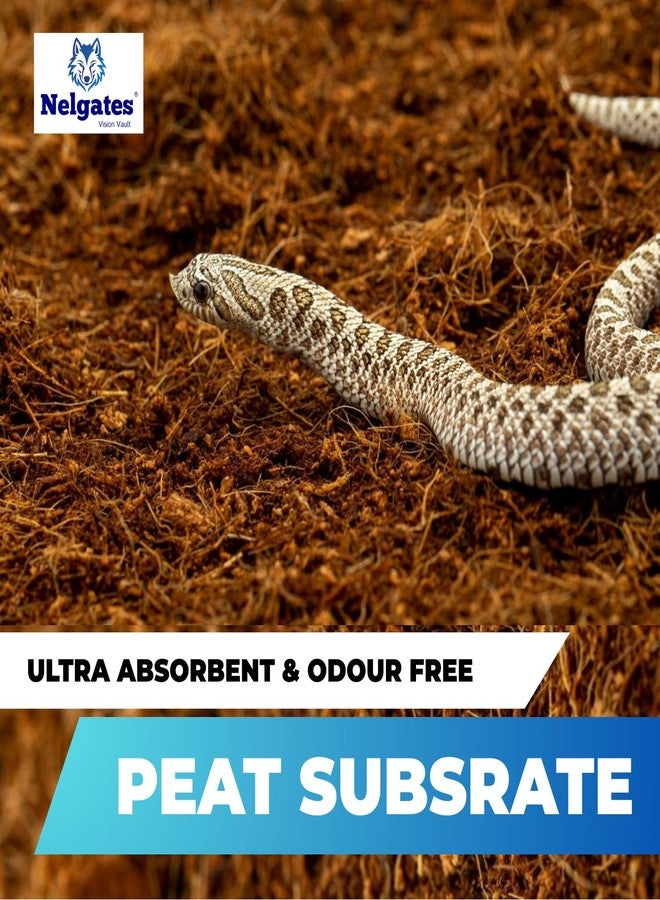 Nelgates Reptile Bedding Organic Coco peat Block for Snake Habitat, Ball Python Terrarium, Turtle Tanks, Enclosure (650g) - Image 5